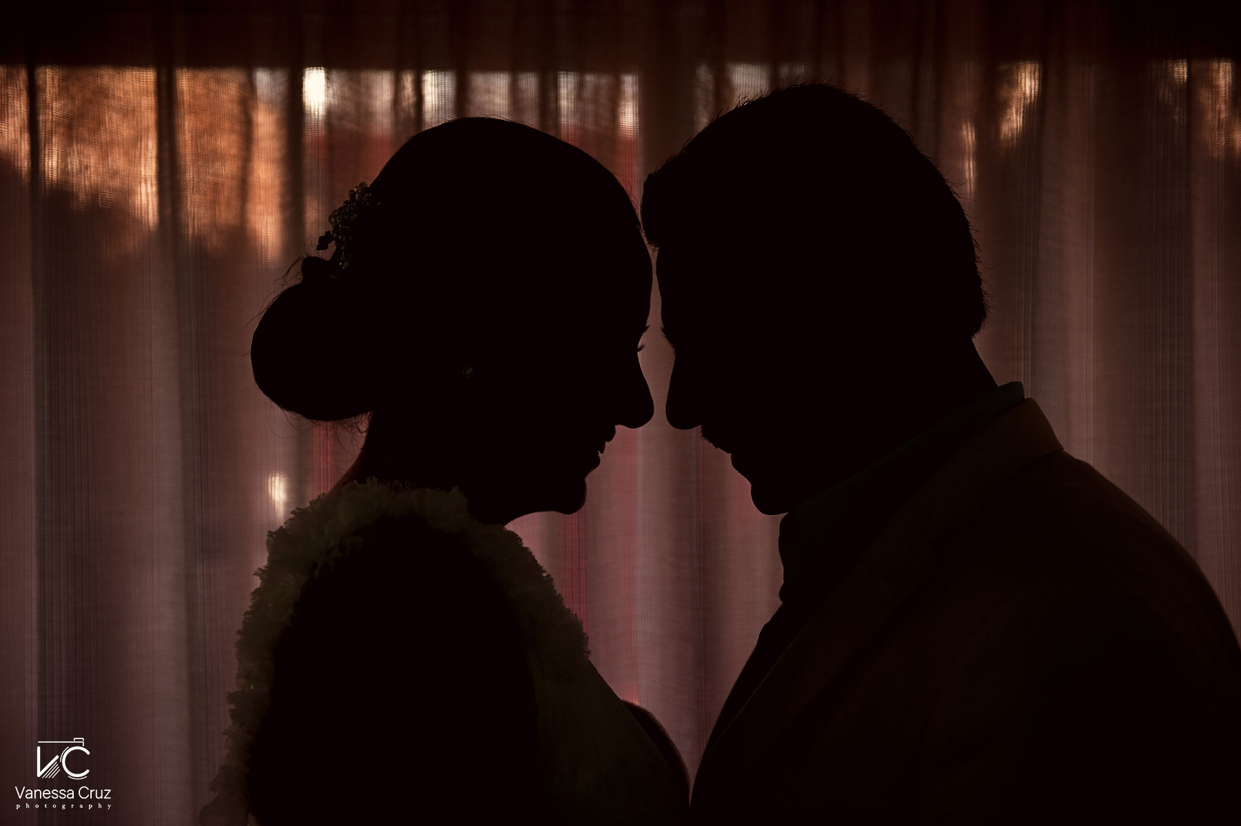 Bride and Groom colourful silhouette 